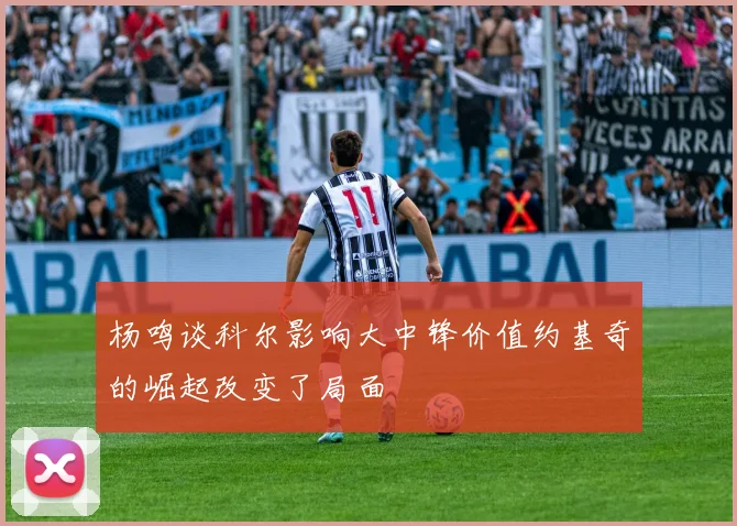 杨鸣谈科尔影响大中锋价值约基奇的崛起改变了局面