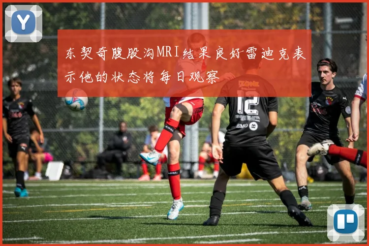 东契奇腹股沟MRI结果良好雷迪克表示他的状态将每日观察