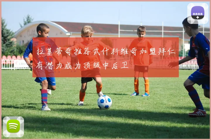 拉基蒂奇推荐武什科维奇加盟拜仁有潜力成为顶级中后卫
