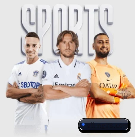NG体育 APP 界面